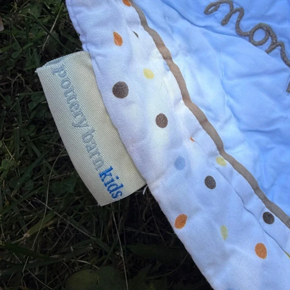 Pottery Barn Kids Monkey See Monkey Do Baby Quilt Blanket Blue Nursery Lovey